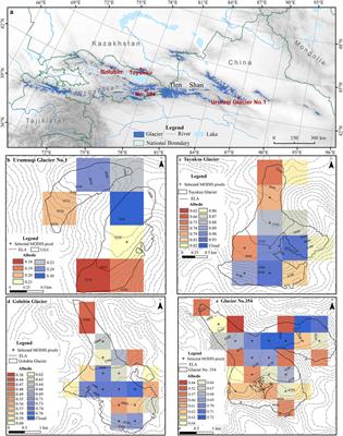 Use of ablation-season albedo as an indicator of annual mass balance of four glaciers in the Tien Shan